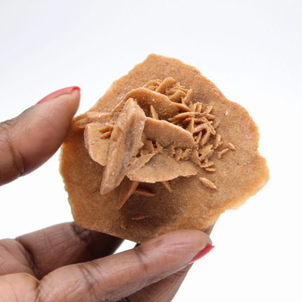 Gypsum rosette from Morocco: natural crystal from the Sahara