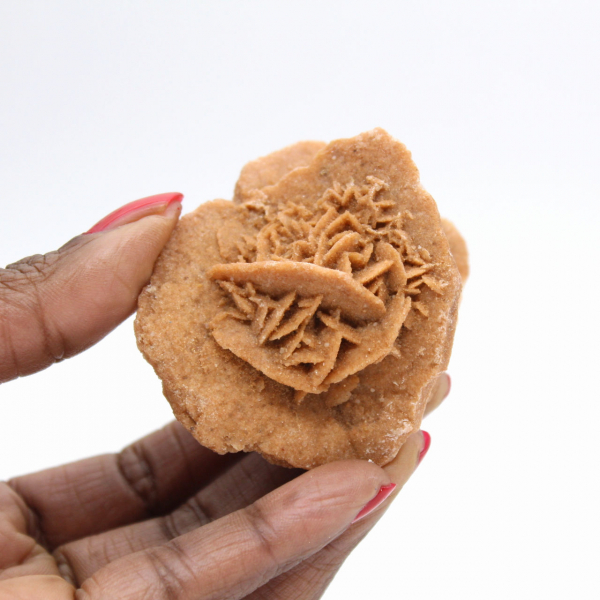 Moroccan desert rose: a crystalline bouquet of gypsum