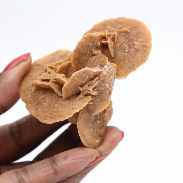 Small Moroccan Desert Rose: the radiance of natural gypsum