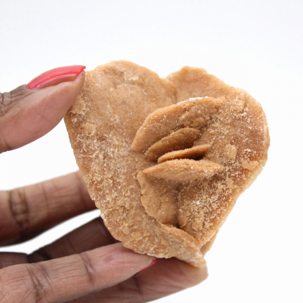 Desert rose of Morocco: the delicate gypsum crystals