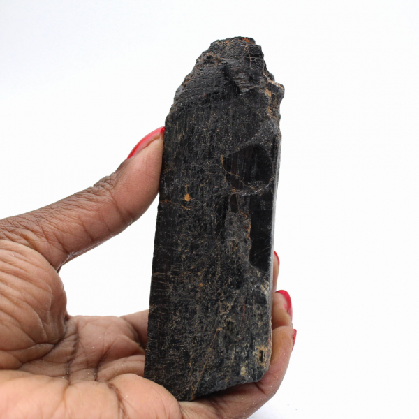 Black Tourmaline from Madagascar - Small Collector's Crystal