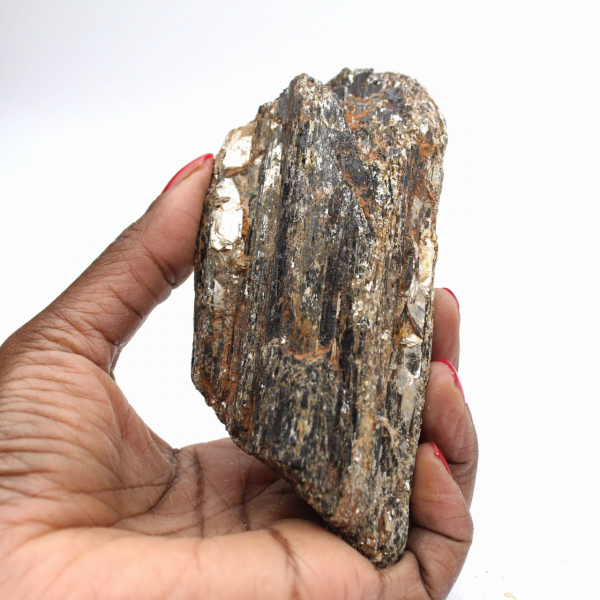 Black Tourmaline from Madagascar - Study Specimen