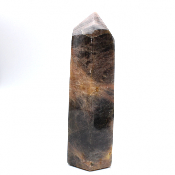 Major Prism in Microcline - Authentic Black Moonstone