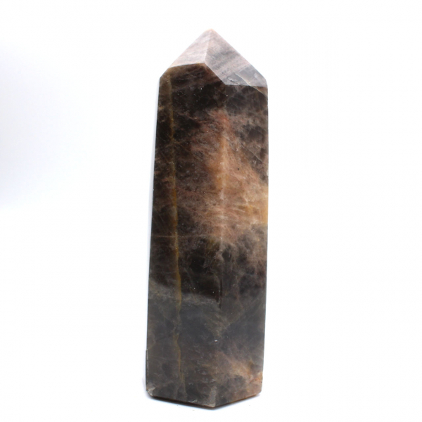 Major Prism in Microcline - Authentic Black Moonstone