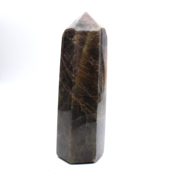 Major Prism in Microcline - Authentic Black Moonstone