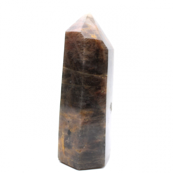 Madagascar Microcline Prism - Elegant Black Moonstone