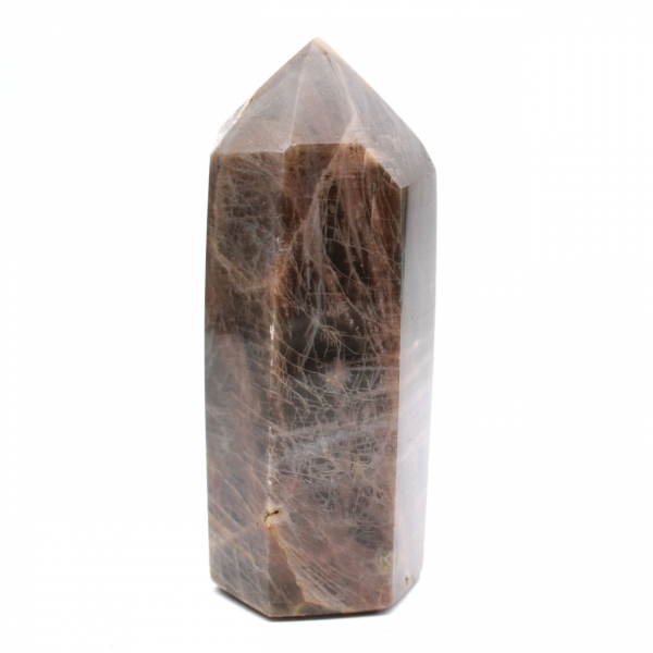 Microcline Collection Prism - Intense Black Moonstone