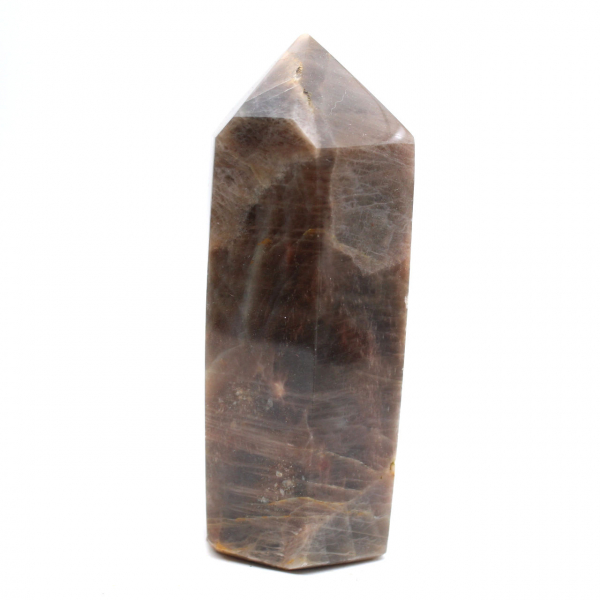 Microcline Collection Prism - Intense Black Moonstone