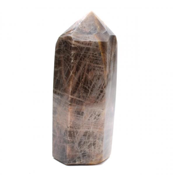 Microcline Collection Prism - Intense Black Moonstone