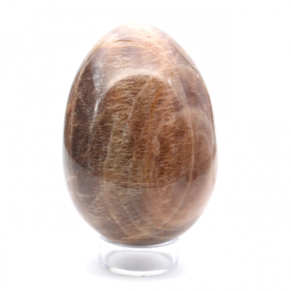 Black Moonstone - Microcline Egg 455g