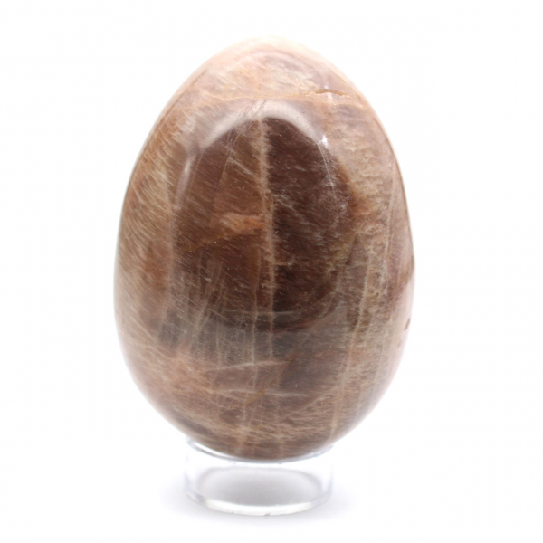 Black Moonstone - Microcline Egg 455g