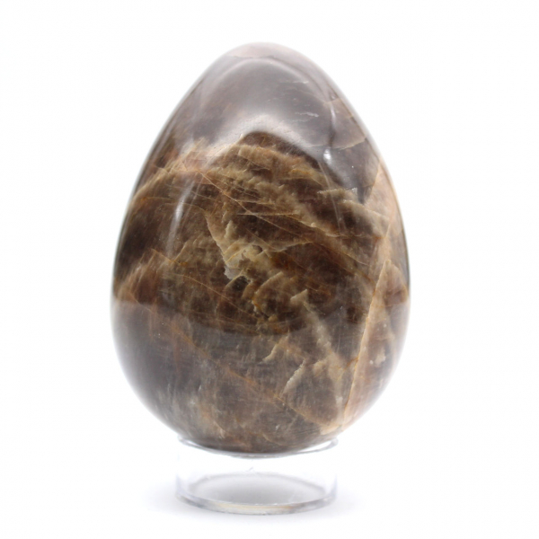 Madagascar Microcline Egg - Moonstone