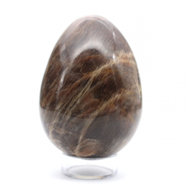 Madagascar Microcline Egg - Moonstone