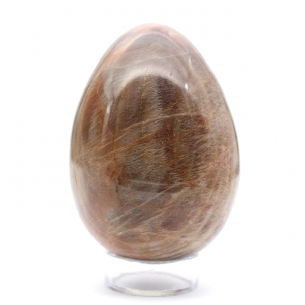 Black Moonstone - Microcline Egg 455g