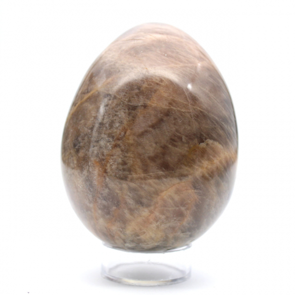 Microcline Collection Egg - 400g