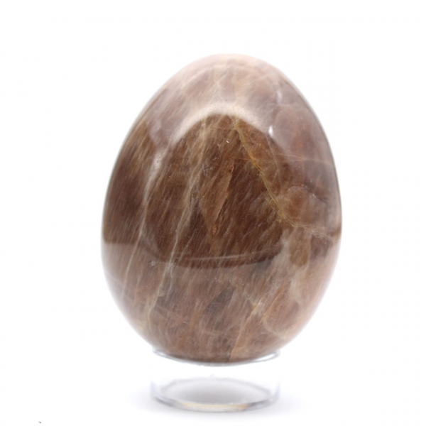Microcline Black Madagascar - Egg 340g