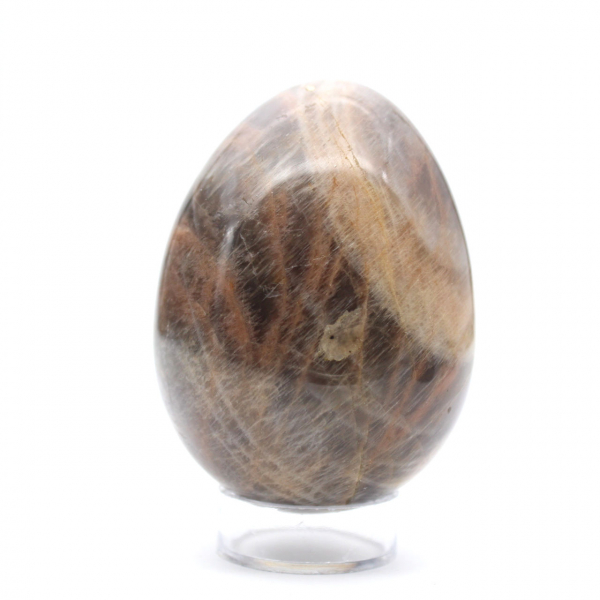 Black Moonstone Microcline Egg