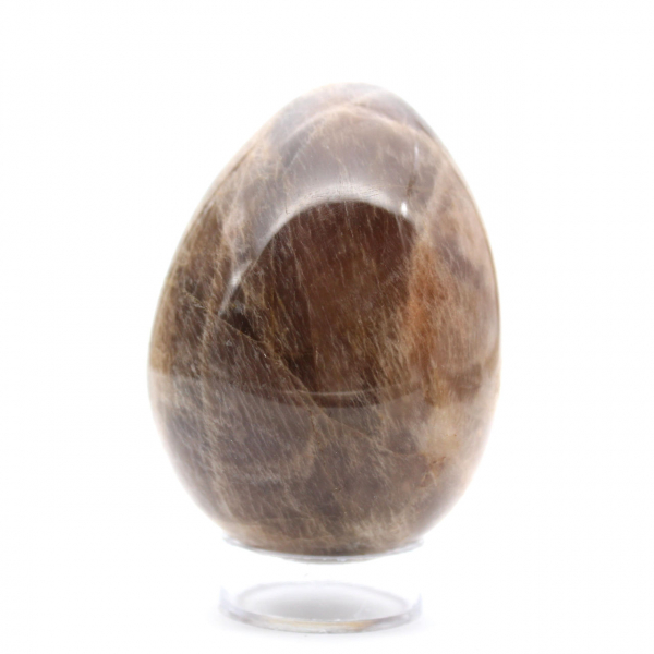 Black Moonstone - Egg 300g Madagascar
