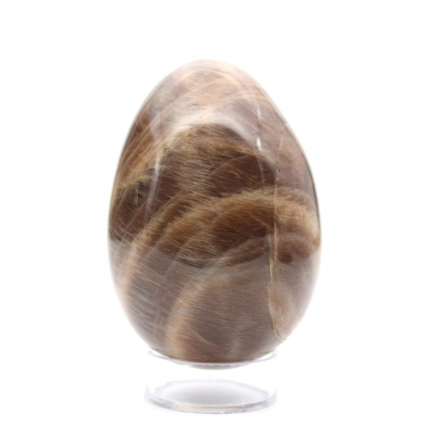 Black Moonstone - Microcline Egg 455g