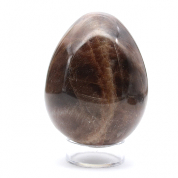 Black Moonstone Egg - Microcline