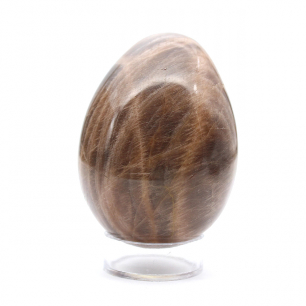 Black Madagascar Microcline Egg 235g