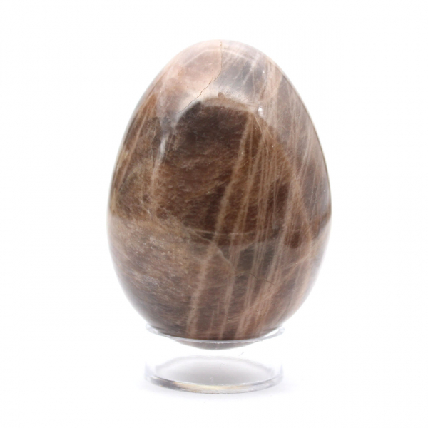Black Madagascar Microcline Egg 235g