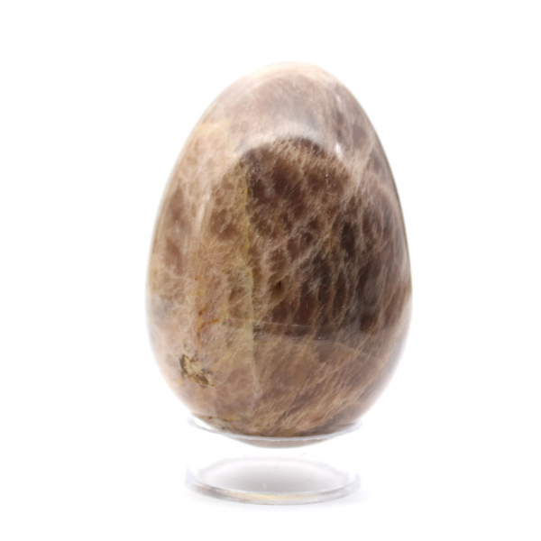 Black Moonstone - Microcline Egg 455g