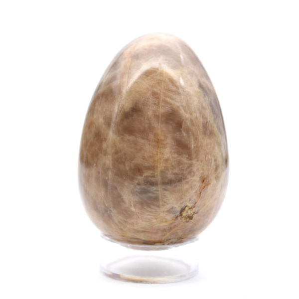 Black Moonstone Egg 205g