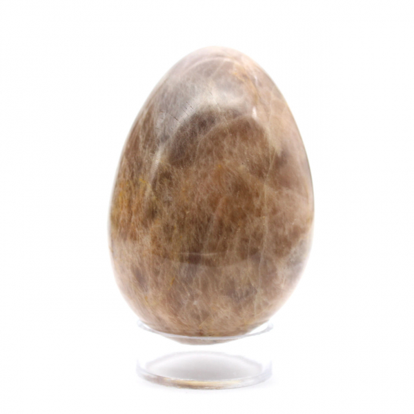 Black Moonstone Egg 205g