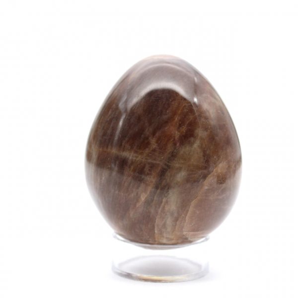 Black Moonstone Egg - 205g