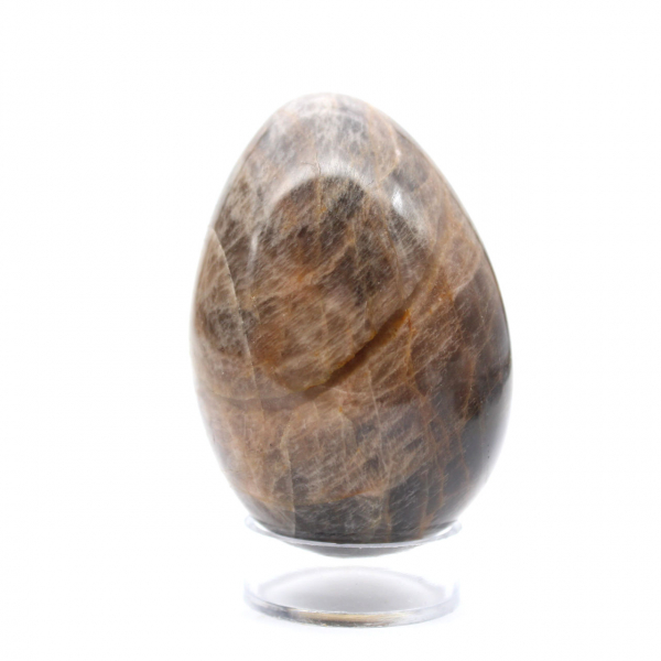 Microcline Black Madagascar - Egg 195g