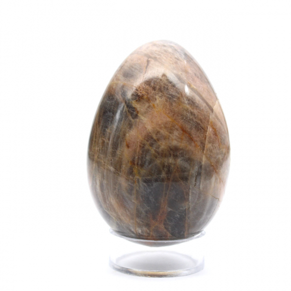 Microcline Black Madagascar - Egg 195g