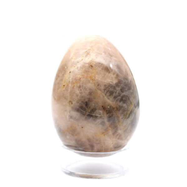 Black Moonstone Egg - 125g