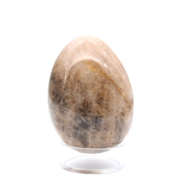 Black Moonstone Egg - 125g