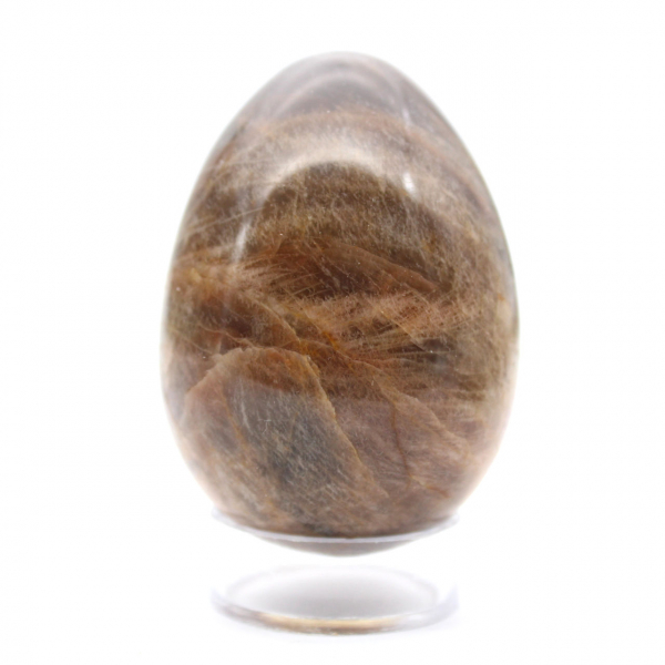 Black Moonstone Egg 175g