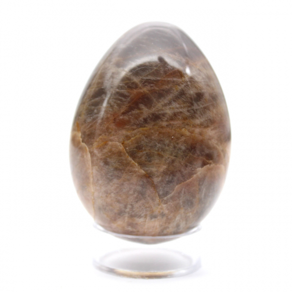 Black Moonstone Egg 175g