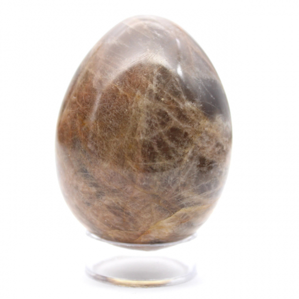 Black Moonstone Egg - 205g