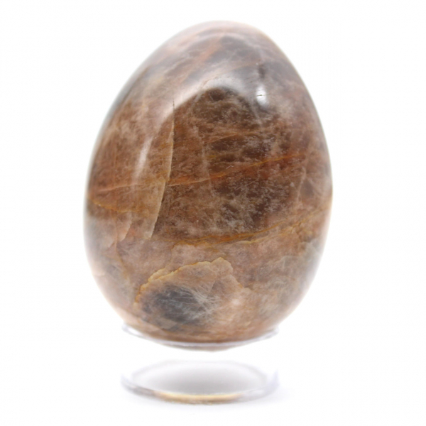 Black Moonstone Egg - 205g