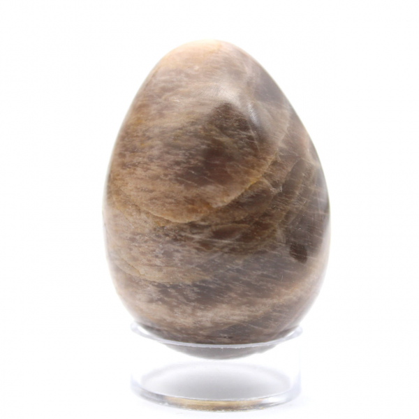 Black Moonstone Egg 135g