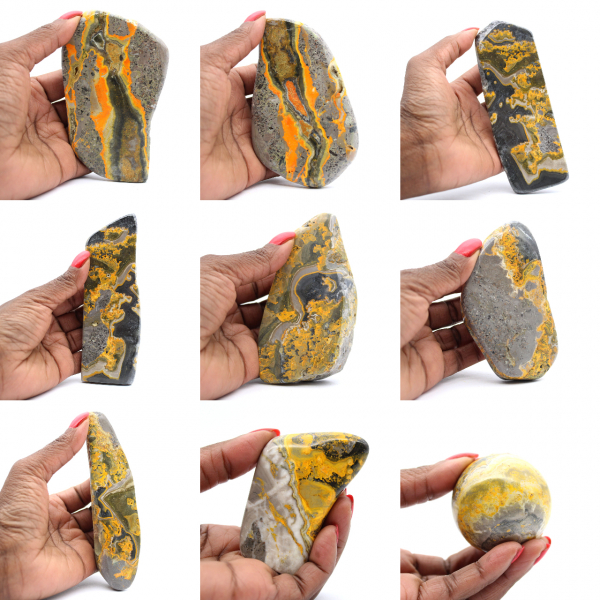 Bumblebee Jasper