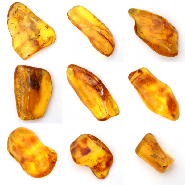 Yellow amber pebble from Lithuania for fossil collection