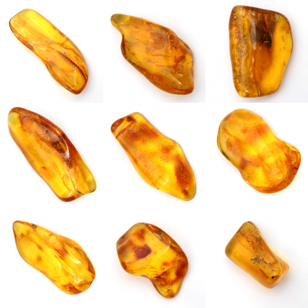 Yellow amber pebble from Lithuania for fossil collection