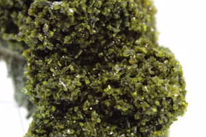 Epidote