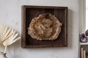 Petrified wood