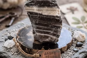 Zebra jasper
