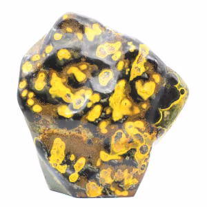 Bumblebee Jasper