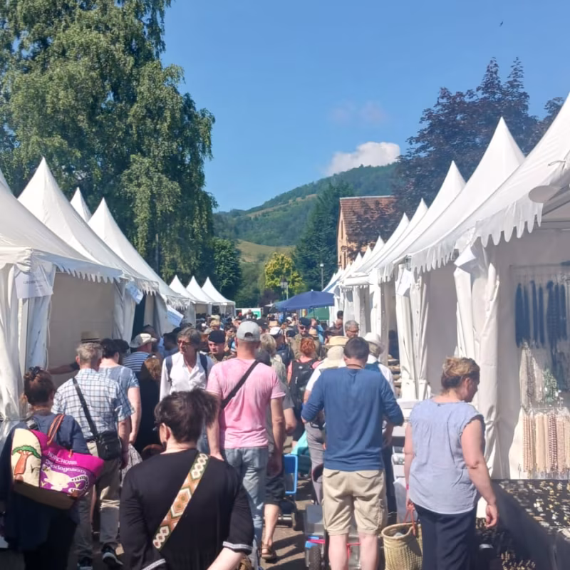 Mineral & Gem 2025: a major international mineralogical exhibition allee smam 2025 2