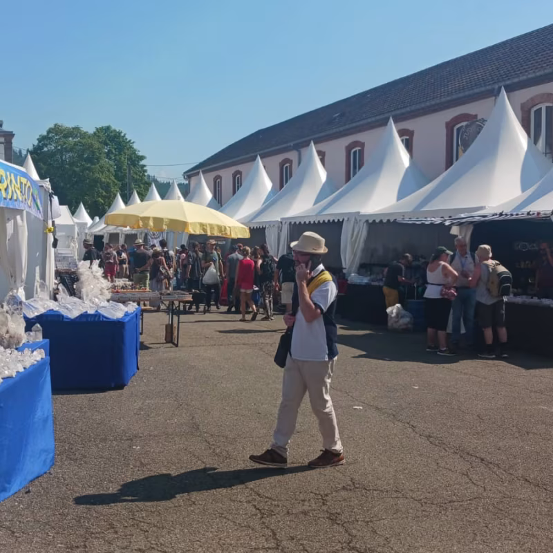 Mineral & Gem 2025: a major international mineralogical exhibition allee smam 2025 3