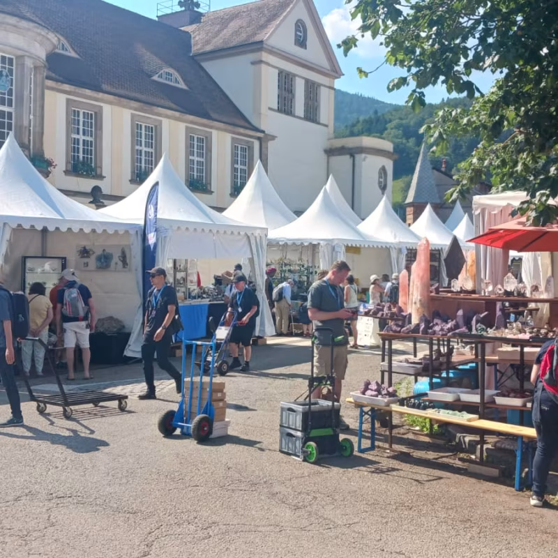 Mineral & Gem 2025: a major international mineralogical exhibition allee smam 2025 5