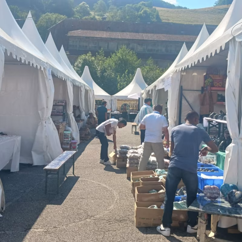 Mineral & Gem 2025: a major international mineralogical exhibition allee smam 2025 6